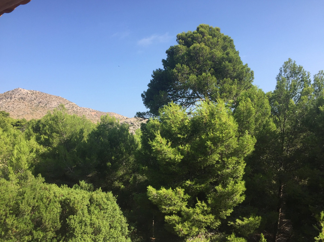 Hotel Cala Sant Vicenc主图