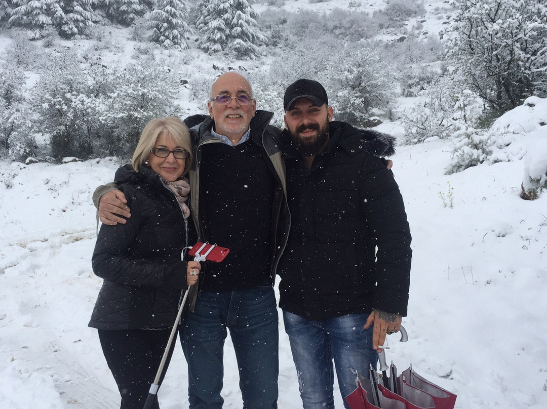 Shouf Cedars Reserve景点图片