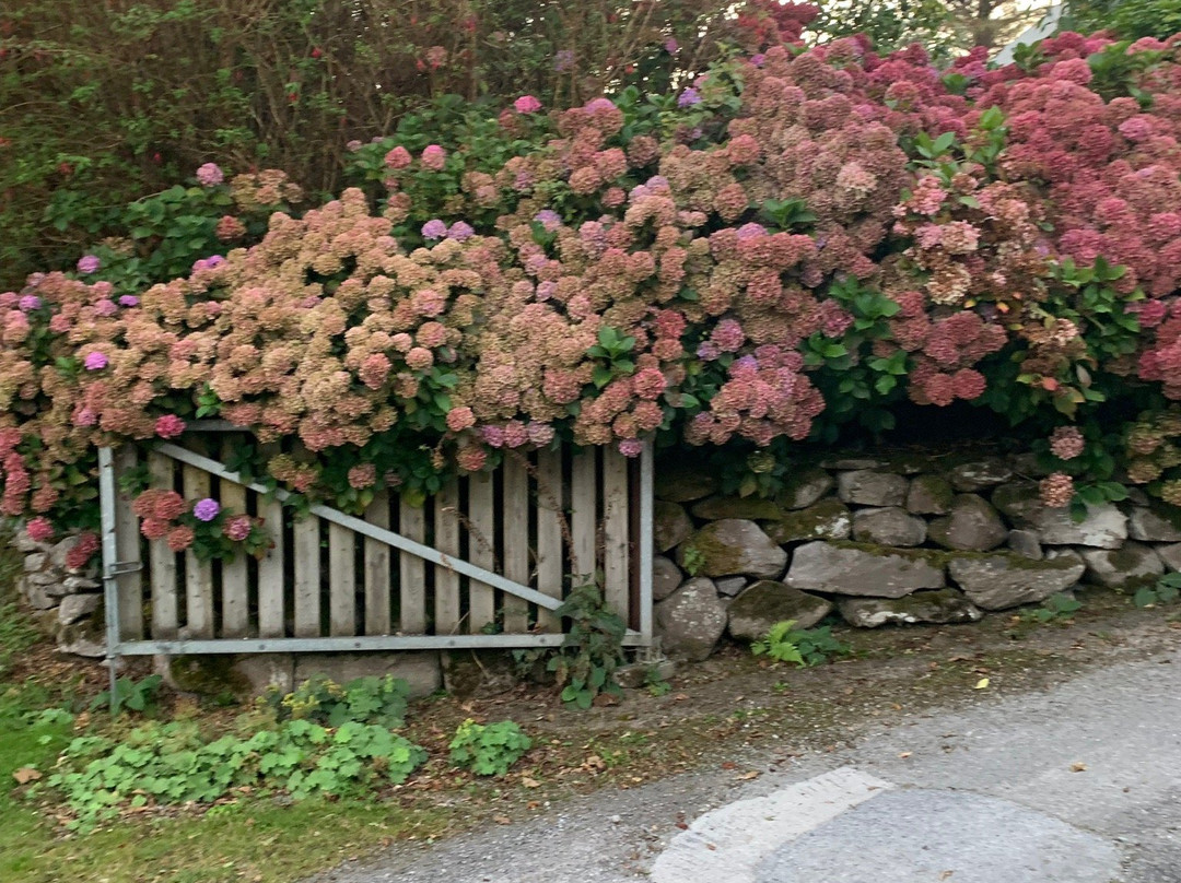 Beaufort Lodge主图