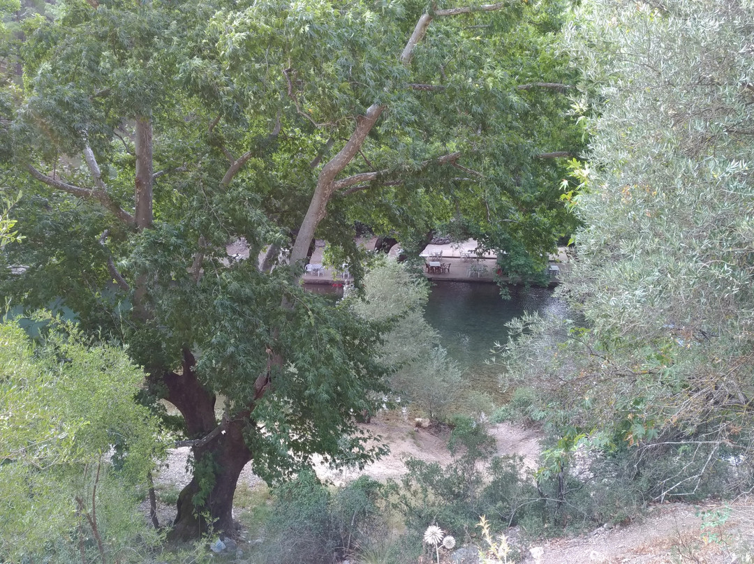 Uzumdere Milli Parki景点图片