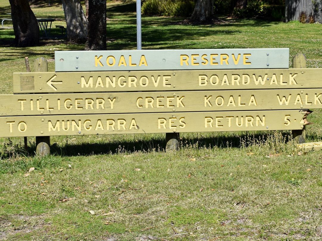Koala Reserve Mangrove Boardwalk-柠檬树路必去景点