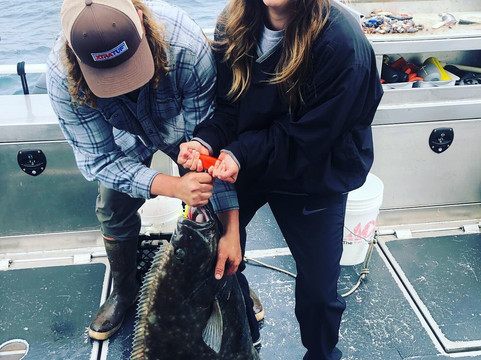 Seward Charters-苏厄德必去景点