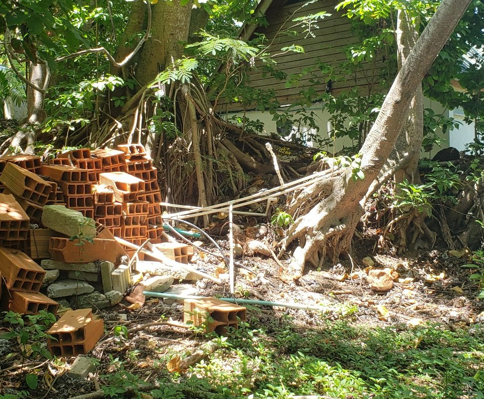 Jardín Botánico de San Andrés-圣安德烈斯必去景点