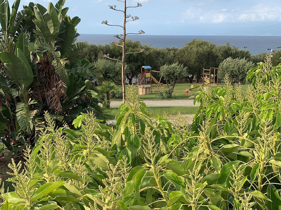 Villaggio Dolomiti Sul Mare主图