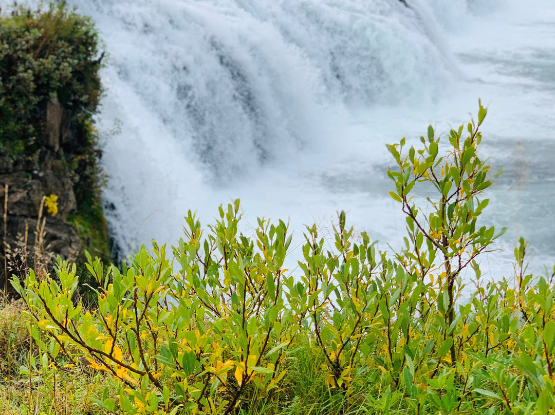 Reykjanes Tours-凯夫拉维克必去景点