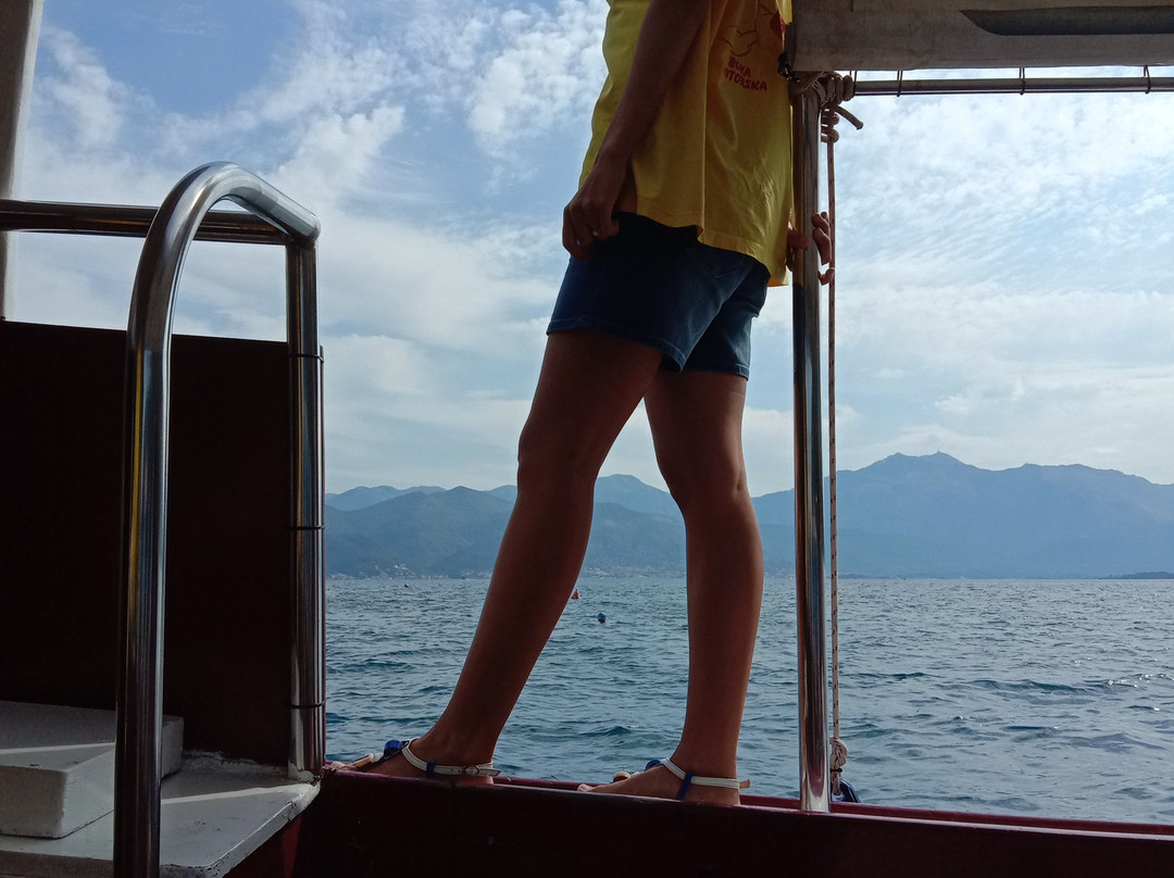 PAJO Boat Tours景点图片