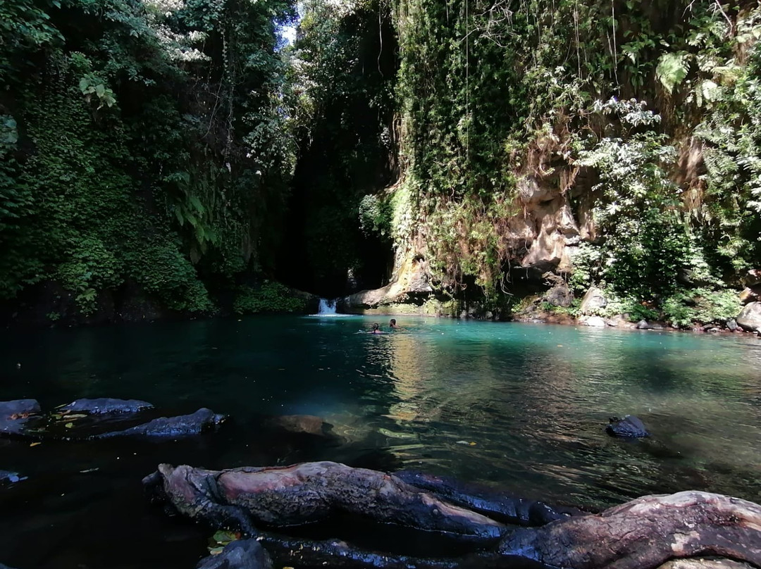 Bali Sambangan Trekking景点图片