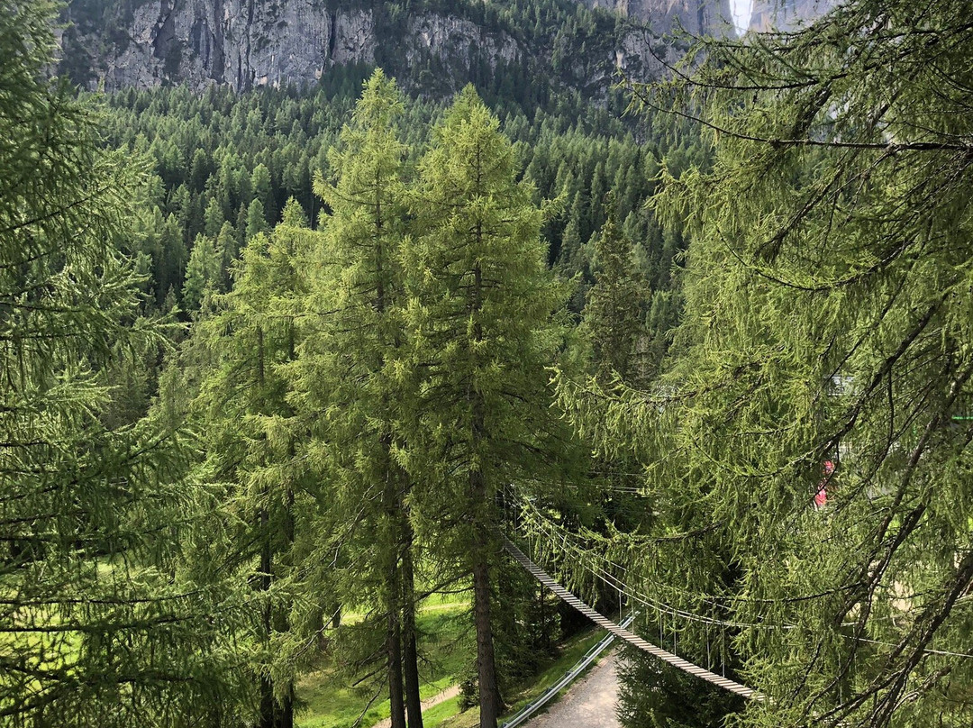 Parco Avventura Colfosco-Colfosco必去景点