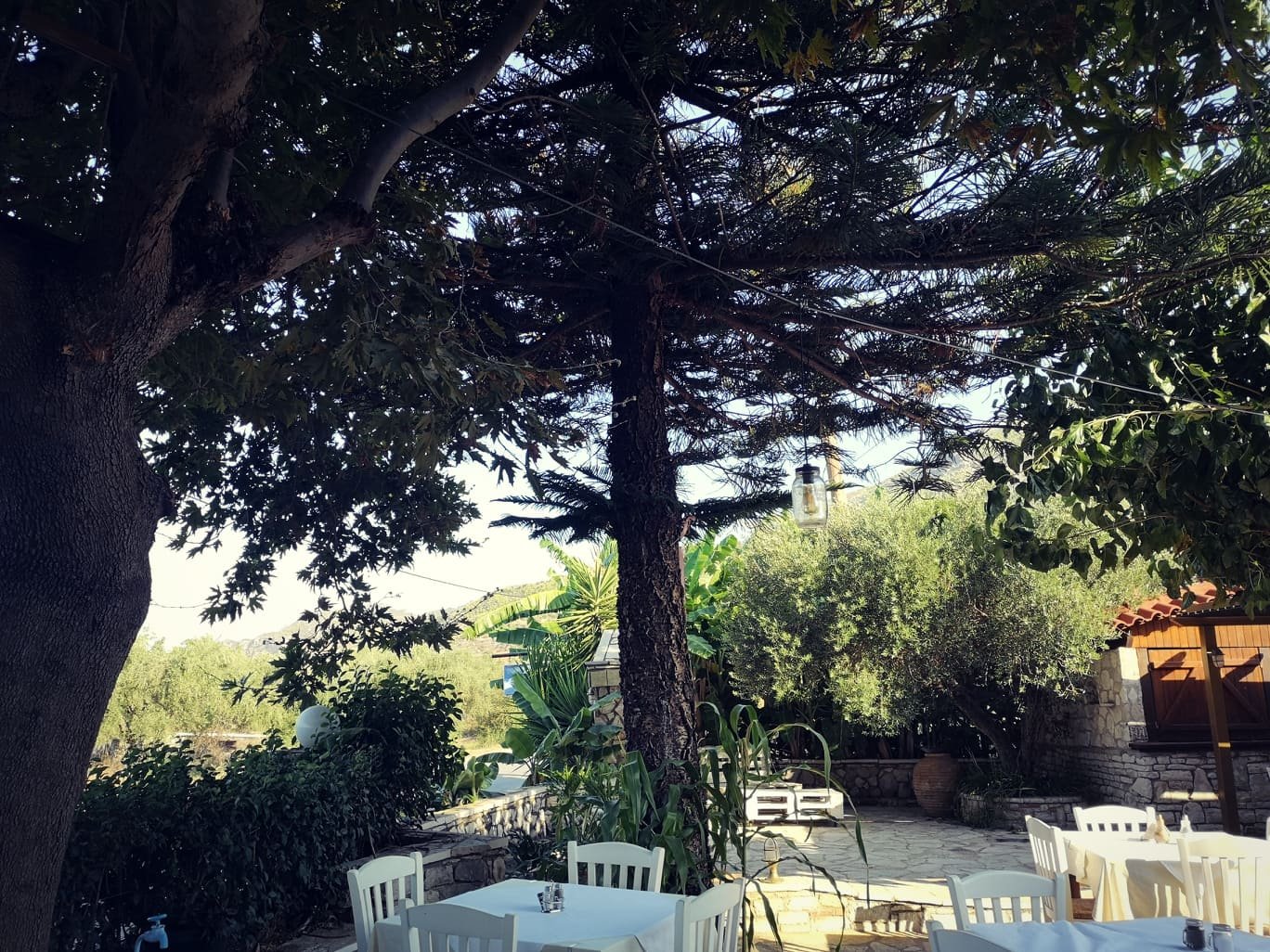 Kaiafas Lake Hotel-餐饮