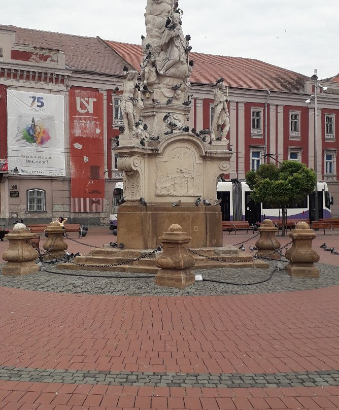 Timisoara Historical Center景点图片