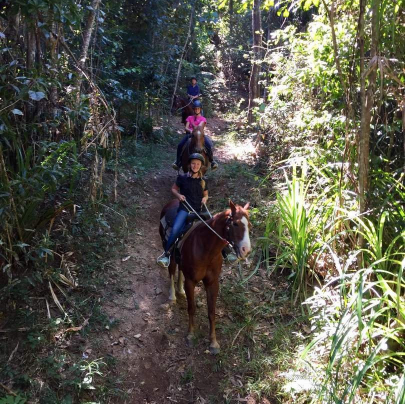 Reinsdown Horse Riding-Tully必去景点