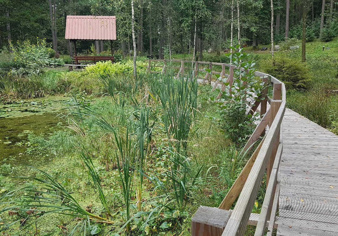 Lesne Arboretum Warmii i Mazur-奥尔什丁必去景点