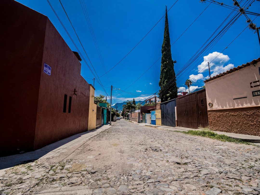 Ajijic Art Walk Tour-Ajijic必去景点