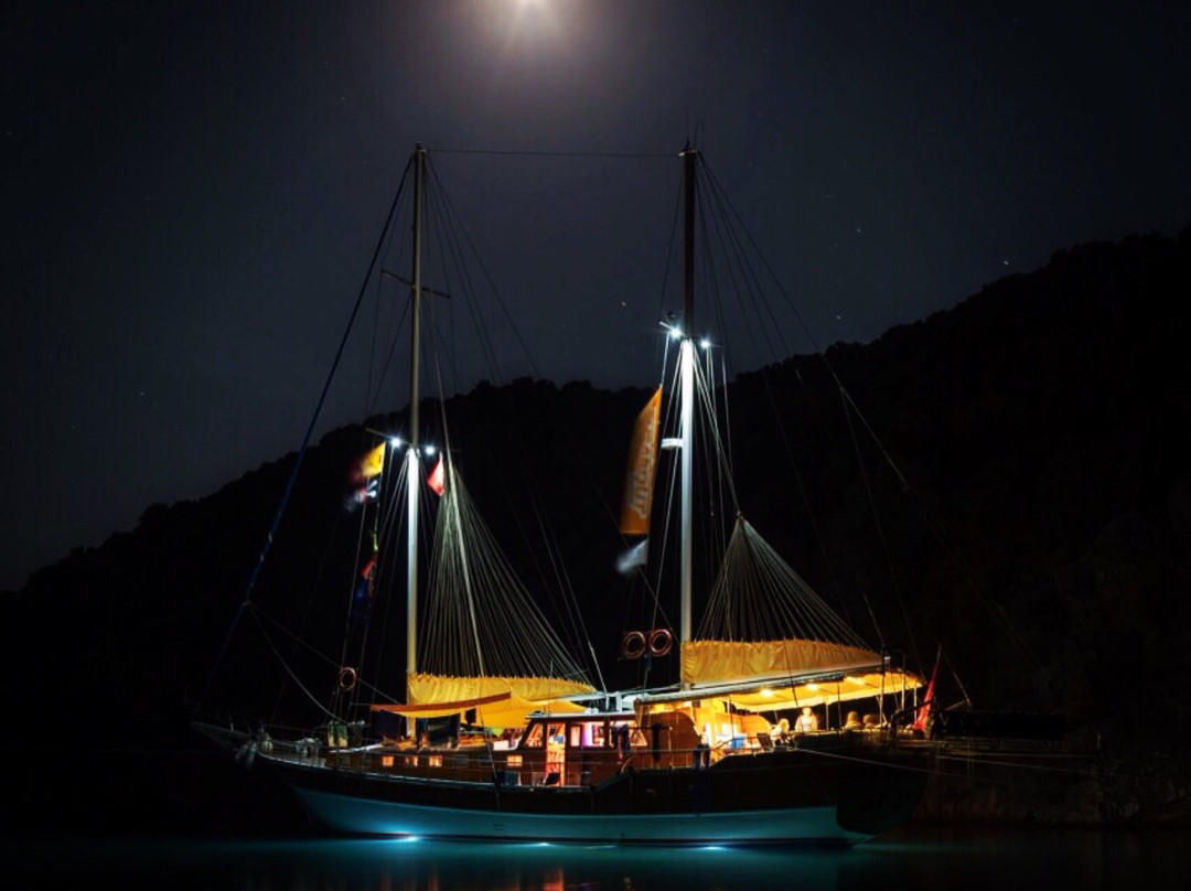 Cheers Yachting景点图片