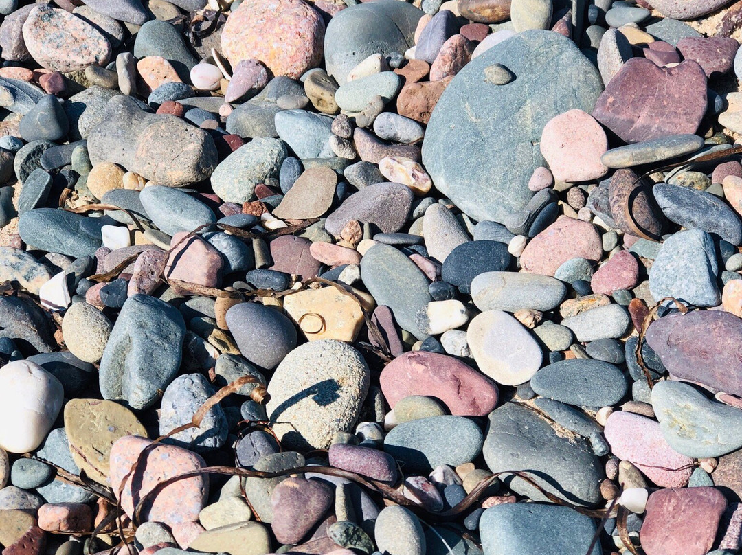 Melmerby Beach Provincial Park-Little Harbour必去景点