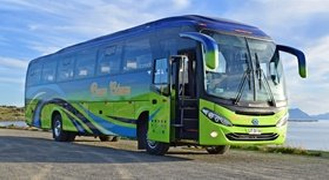 Buses Gomez-纳塔莱斯港必去景点