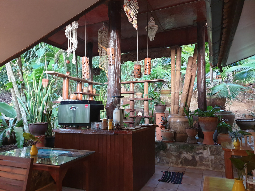 Khao Sok Las Orquideas Resort主图