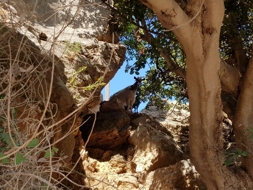 Gerani Beach-Gerani必去景点