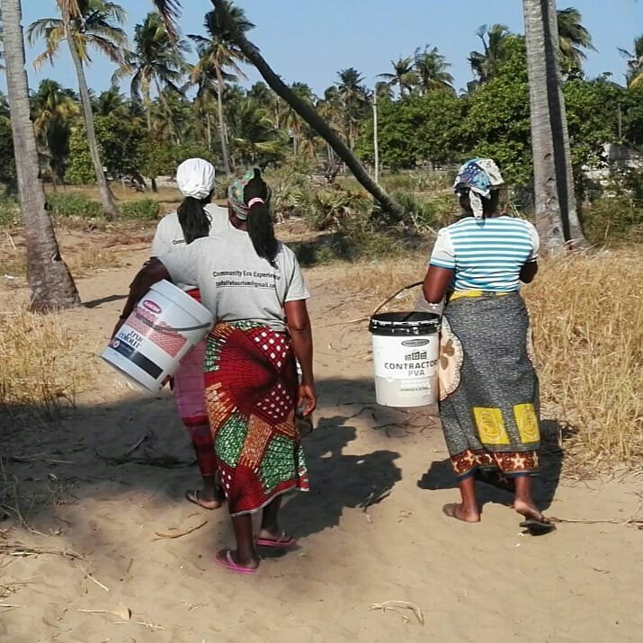 Tofo Life-托佛必去景点