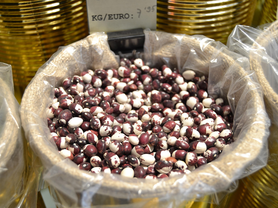 SOSO Store-穆尔西亚必去景点