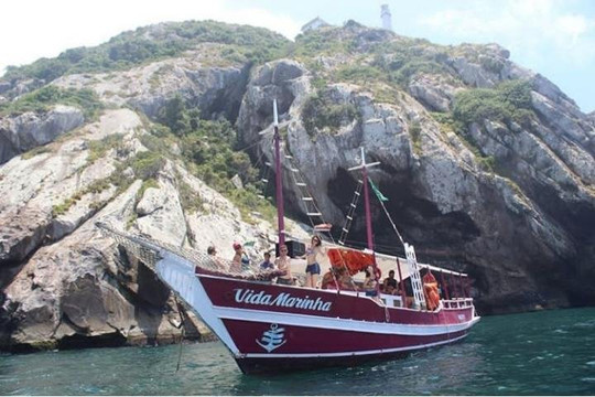 Embarcação Vida Marinha-阿拉伊阿尔港必去景点