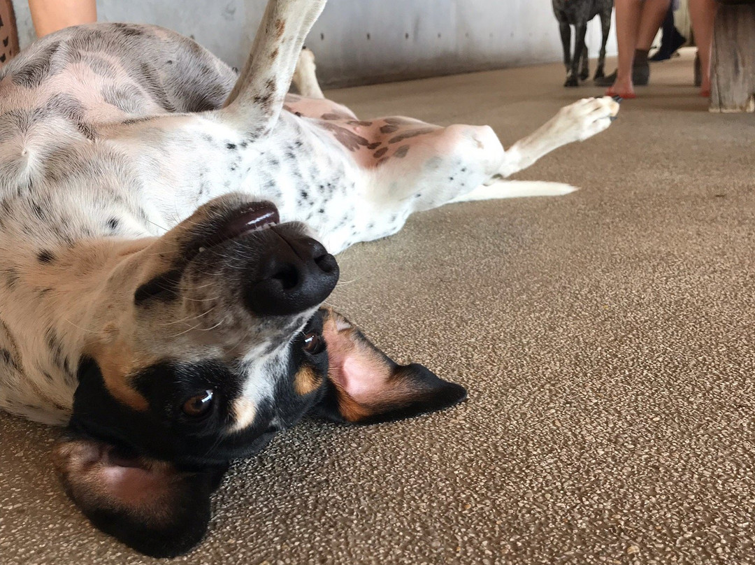 Fundacion Casa Wabi-埃斯孔迪多港必去景点