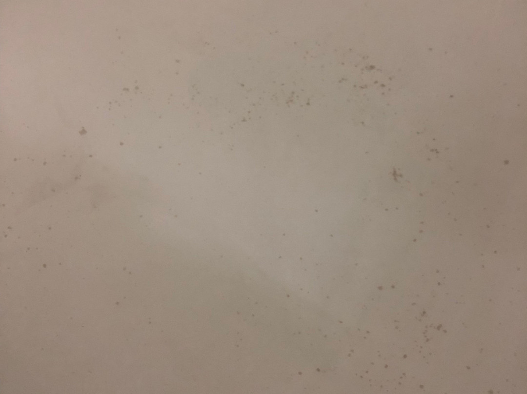 Travelodge By Wyndham Golden Sportsman Lodge主图