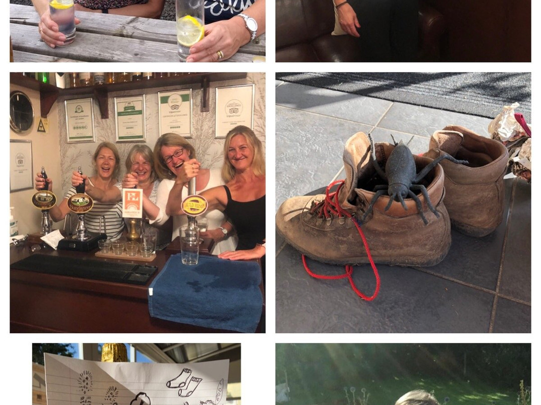 Forest View Walkers Inn主图