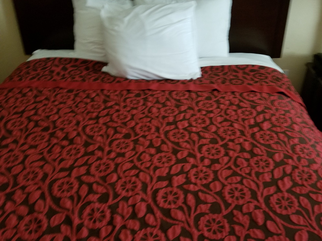 Days Inn by Wyndham North Mobile主图