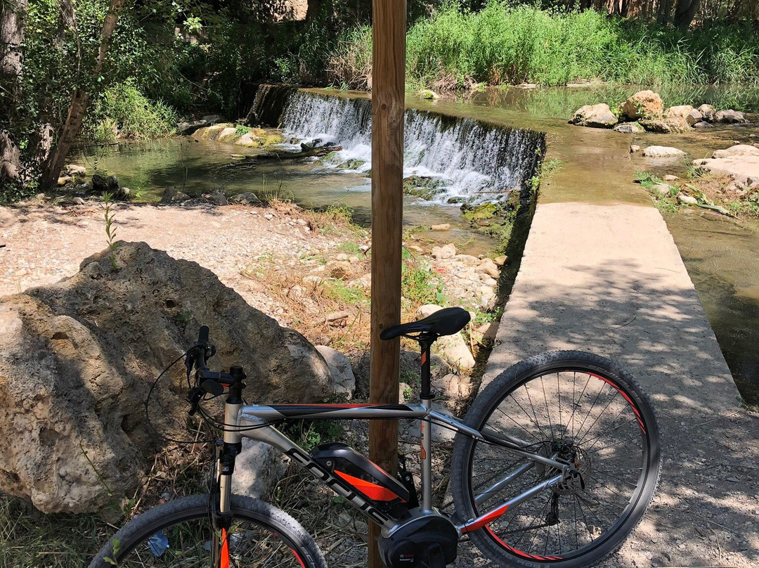 Fast Bike Shop景点图片