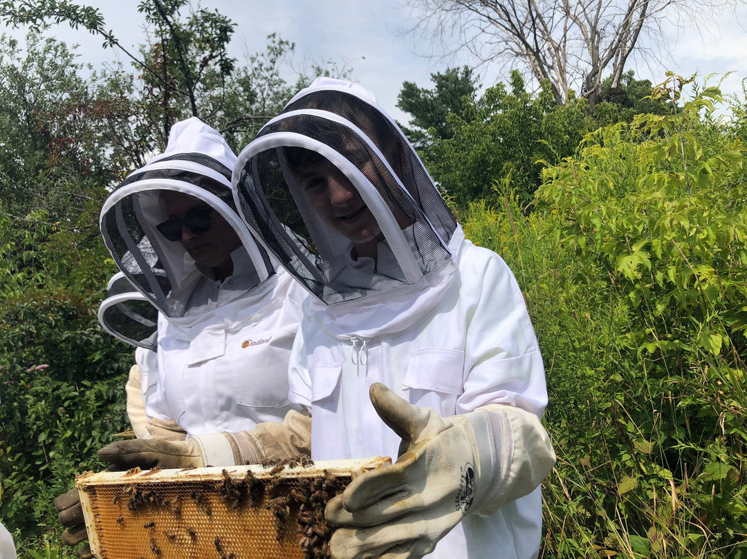 Les Trois Acres/Three Acres-Dunham必去景点