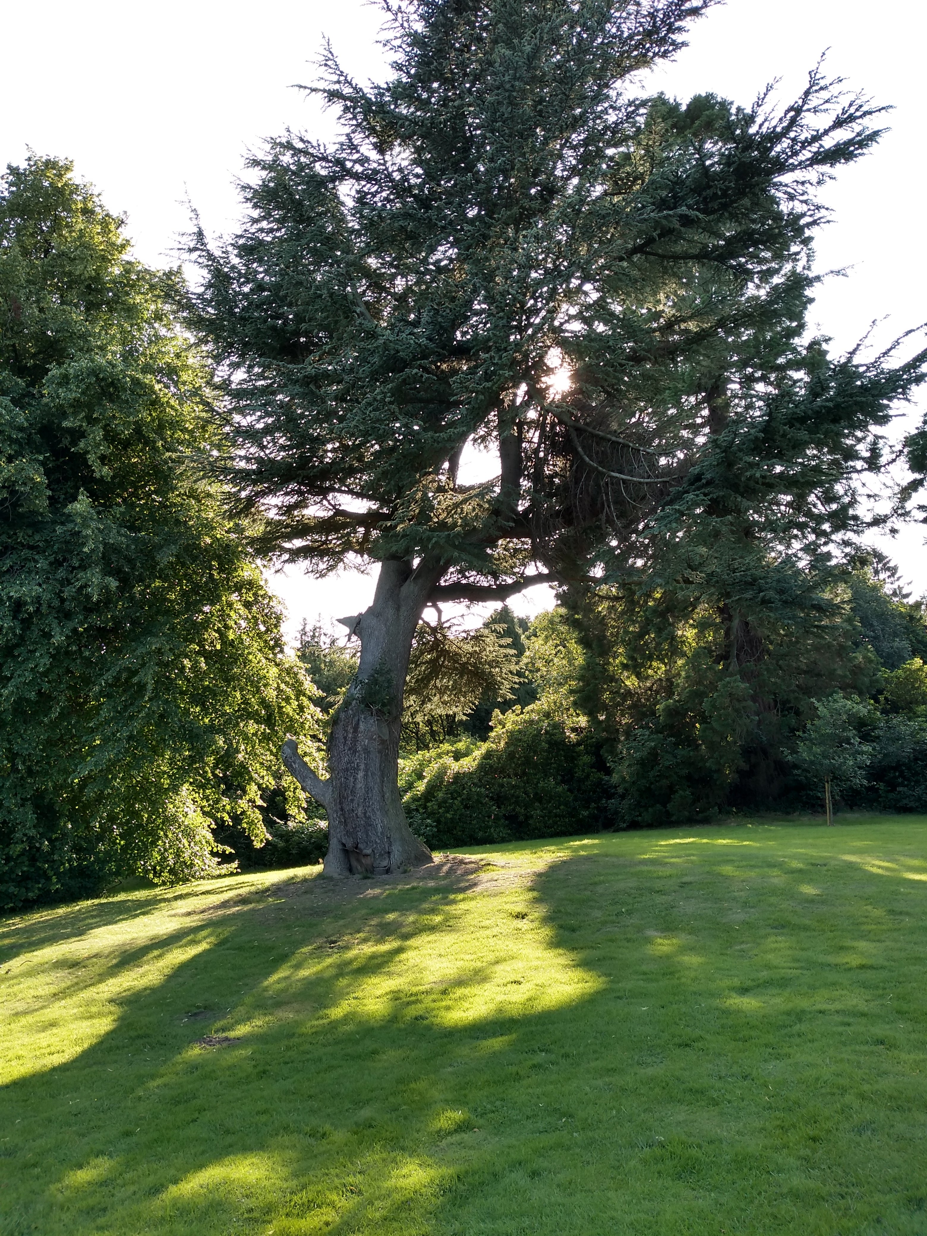 Grinkle Park Hotel-portrait