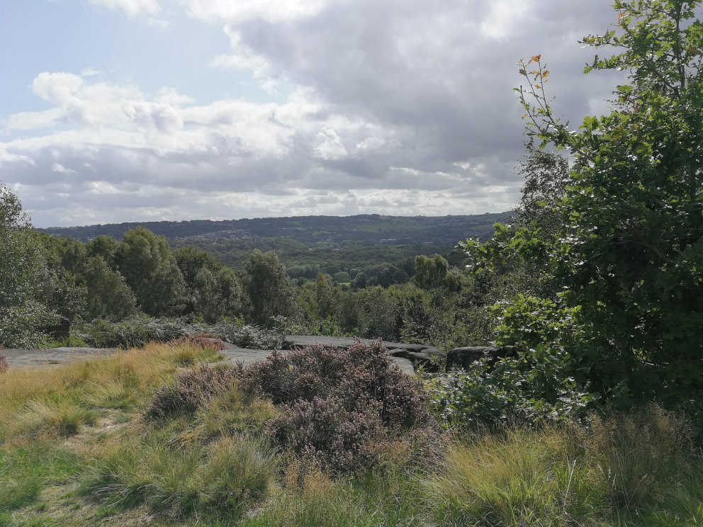 Shipley Glen Tramway景点图片