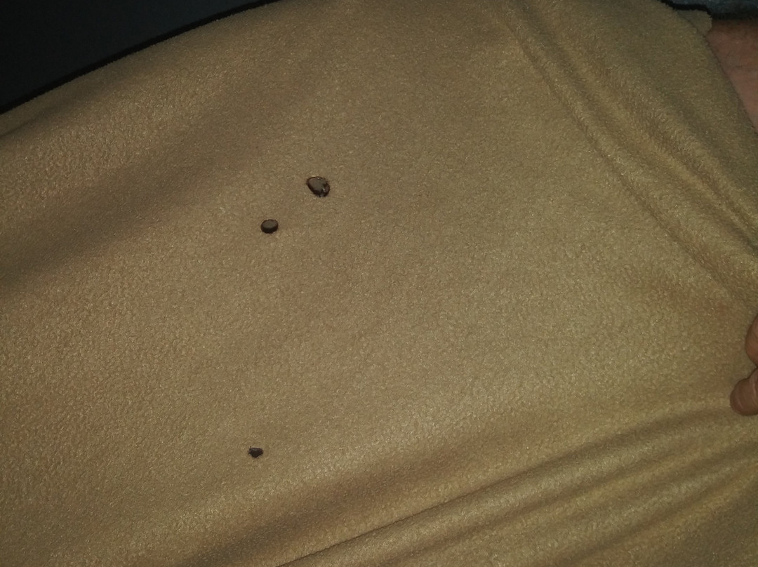 Days Inn by Wyndham Enterprise主图