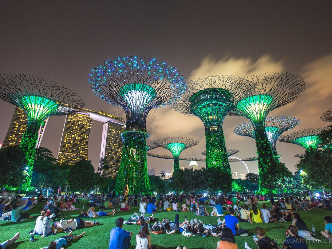 Seven Senses Tours-伦敦必去景点