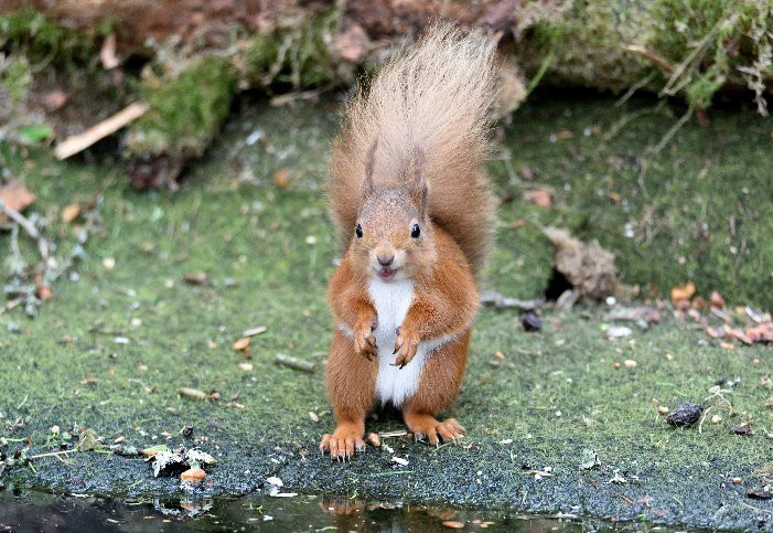 Nature Nuts-Blairgowrie必去景点