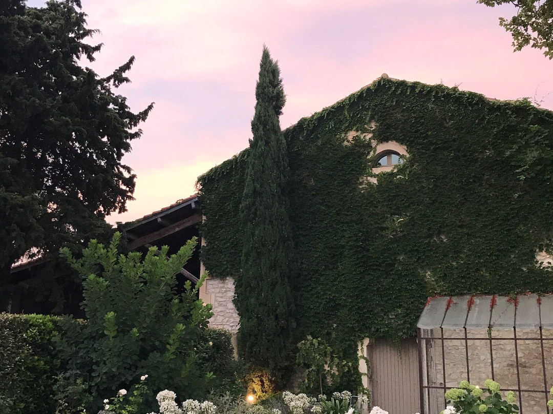 Domaine Clos Saint Estève主图