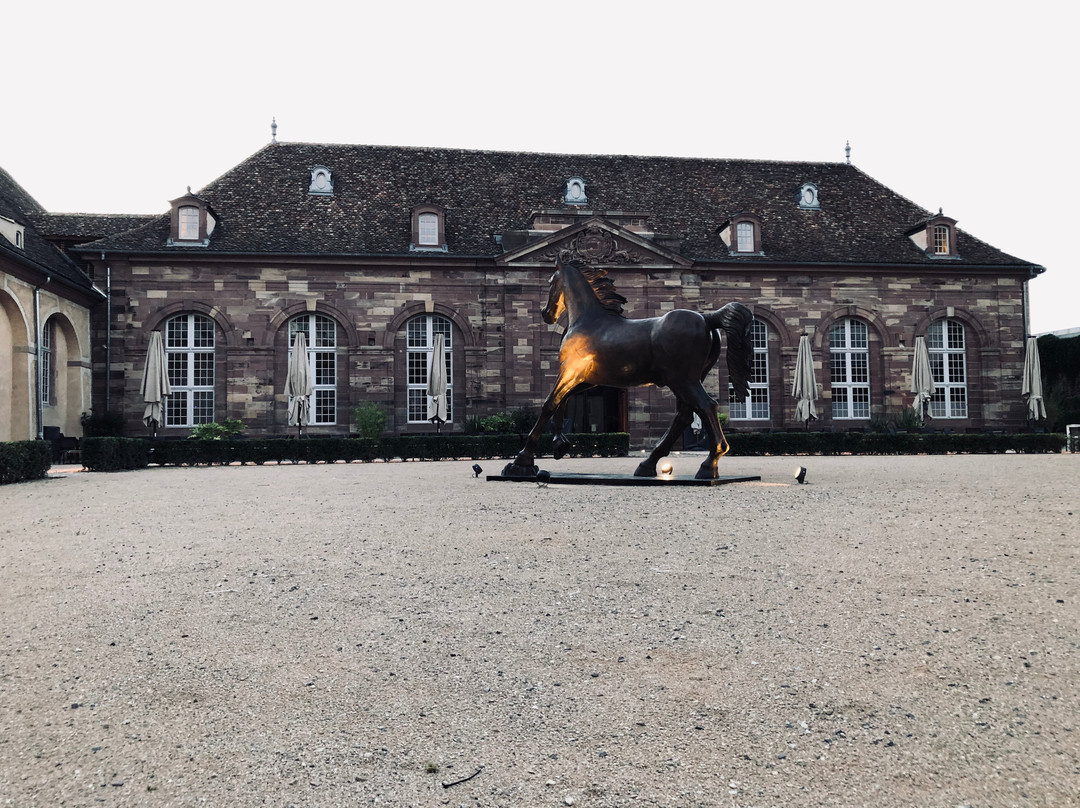 勒斯哈里斯酒店主图