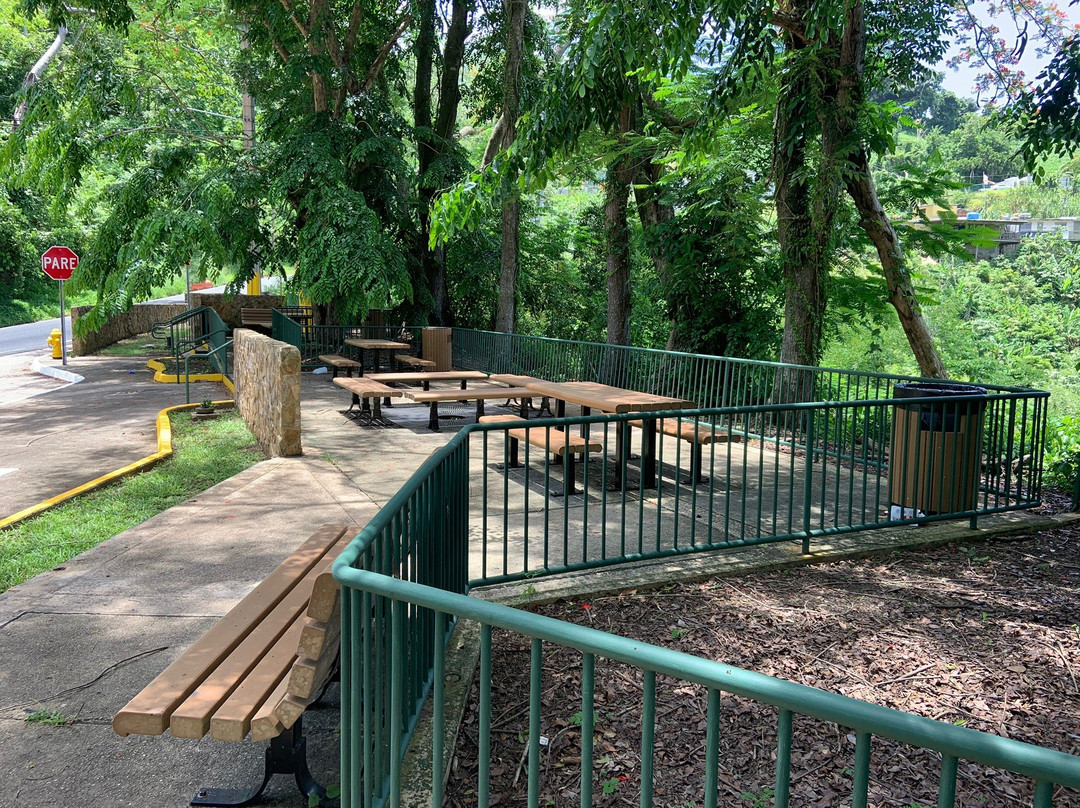 Mirador Las Lagrimas (Viewpoint)-Naranjito必去景点