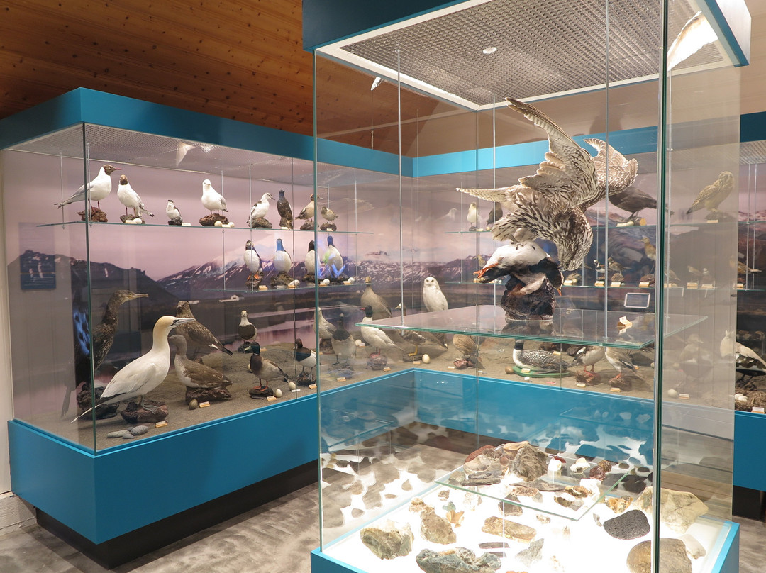 The Maritime Museum in the Fishermen's Garden-Hellissandur必去景点