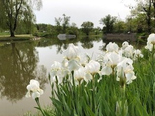 Nicolston Dam-Alliston必去景点