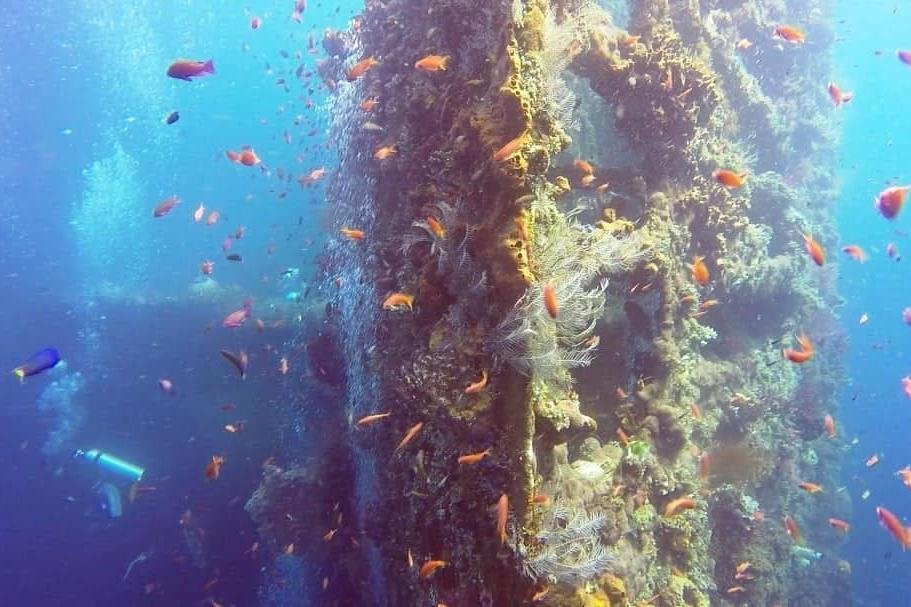 Amed Fun Divers Bali景点图片