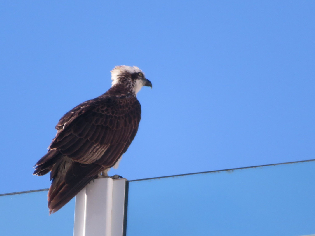 Sandy Point Beach Resort主图