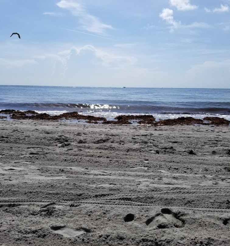 South Inlet Park Beach-博卡拉顿必去景点