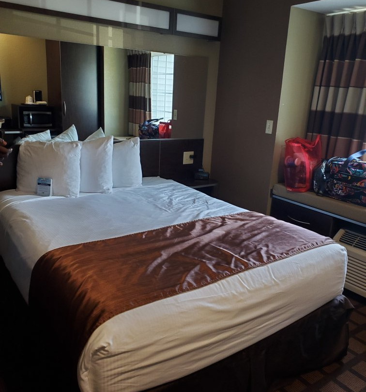 Microtel Inn & Suites by Wyndham Carrollton主图