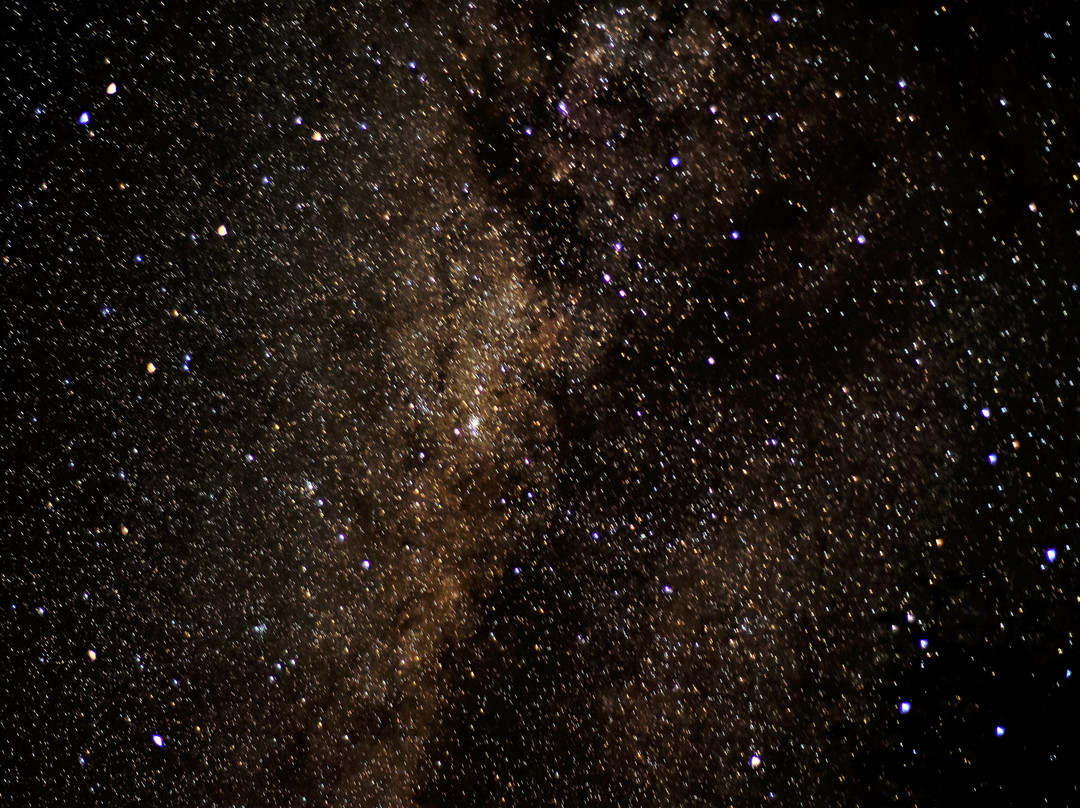 John's Camp - Robin Pope Safaris主图