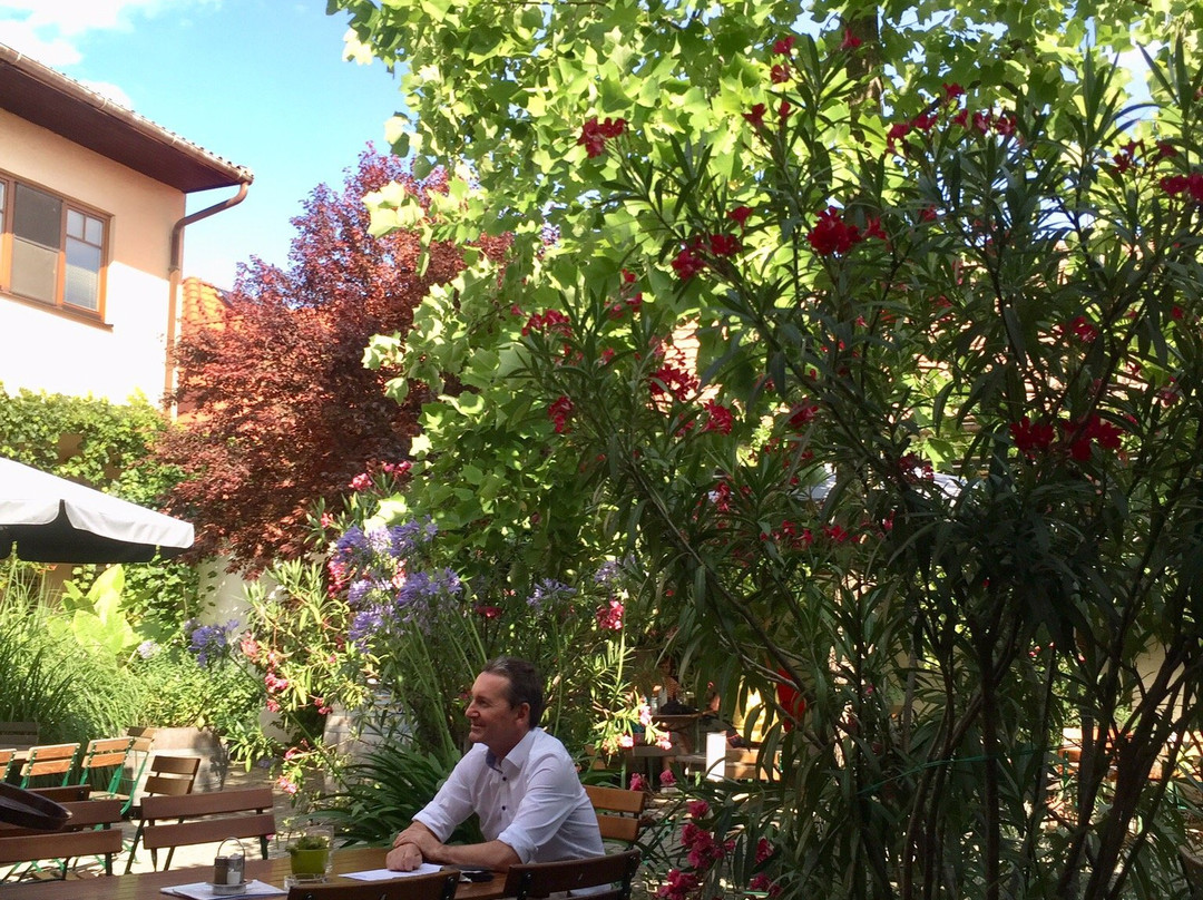 Weingut & Heuriger Niki Windisch