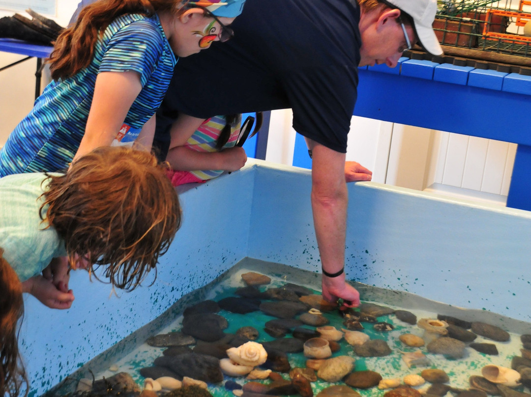 Blue Ocean Discovery Center-汉普顿必去景点