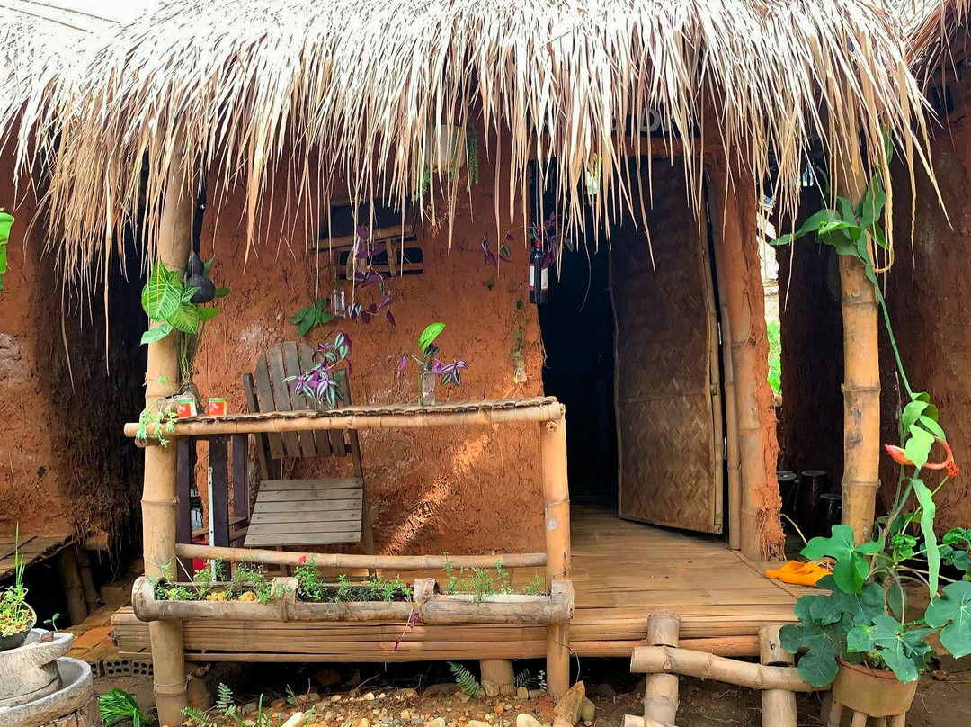 Coffee Homestay Lang Ho主图