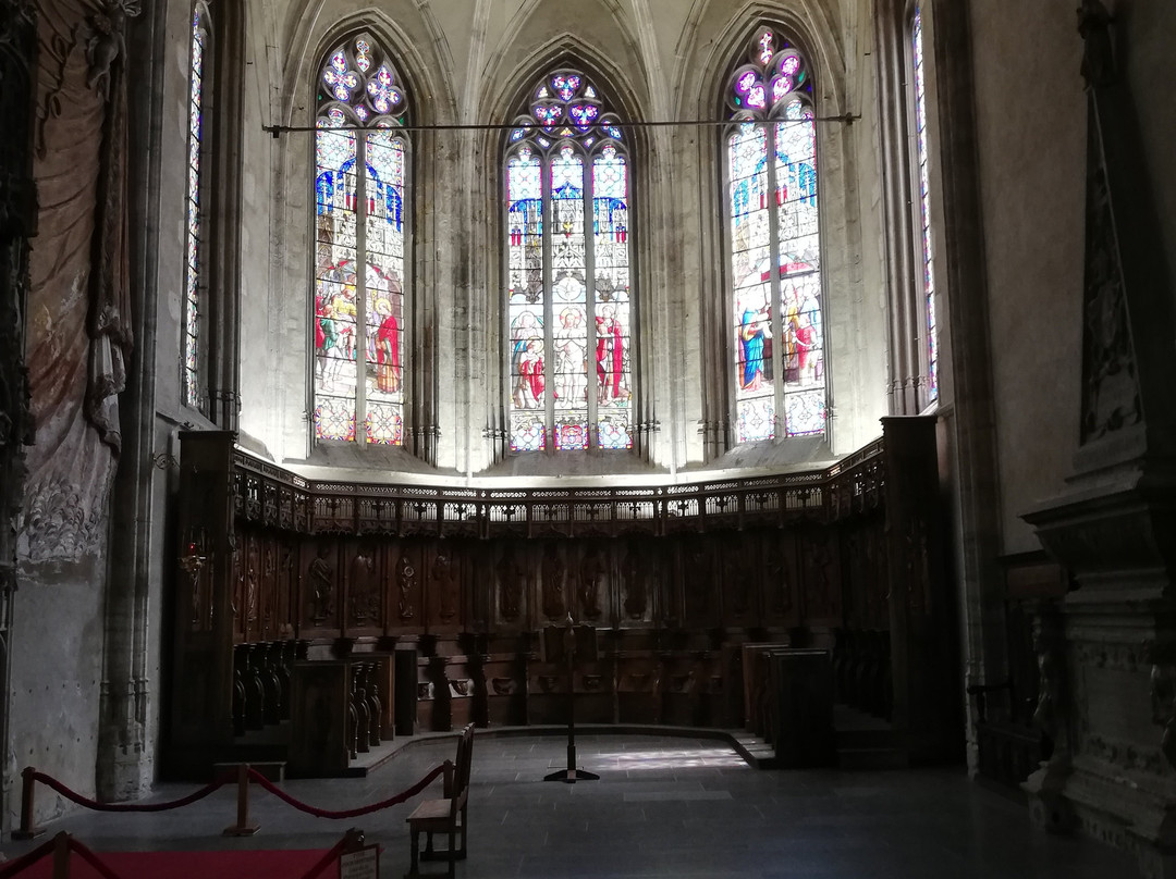 Cathedrale, cloitre et crypte景点图片